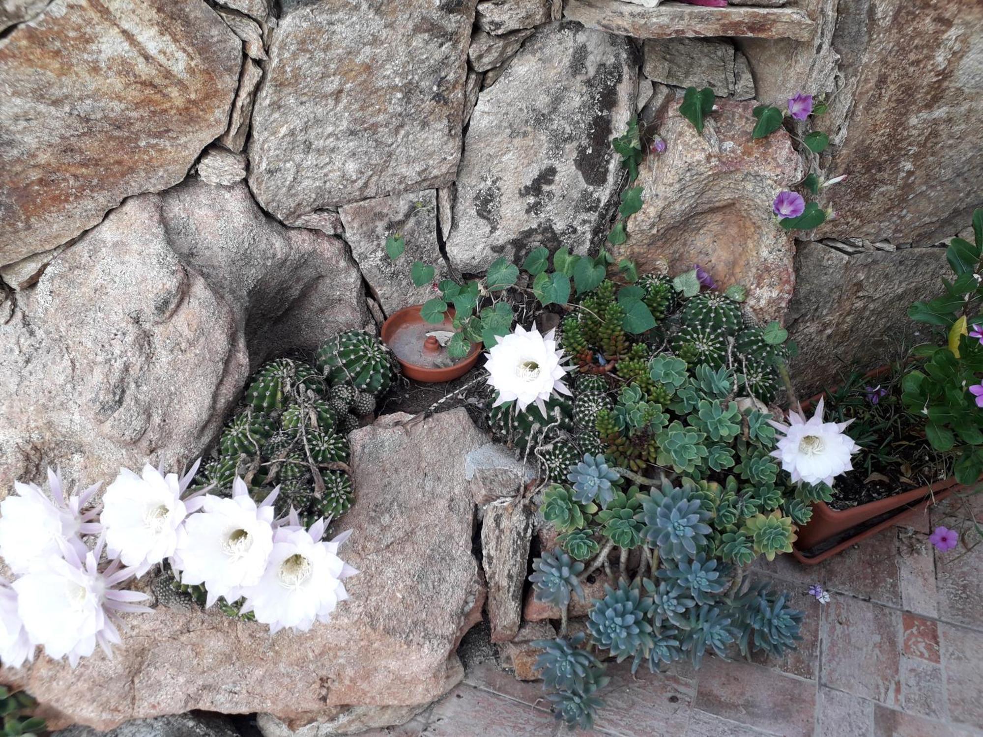 Exclusive House Cala Gonone Exterior foto